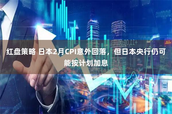 红盘策略 日本2月CPI意外回落，但日本央行仍可能按计划加息