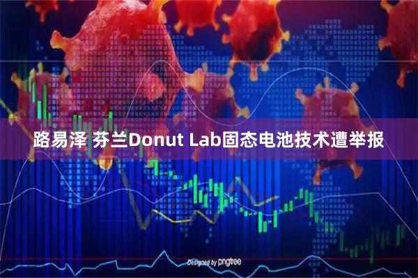 路易泽 芬兰Donut Lab固态电池技术遭举报