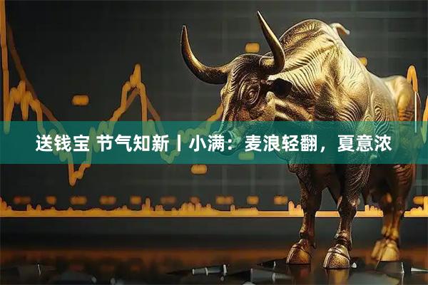 送钱宝 节气知新丨小满:麦浪轻翻,夏意浓