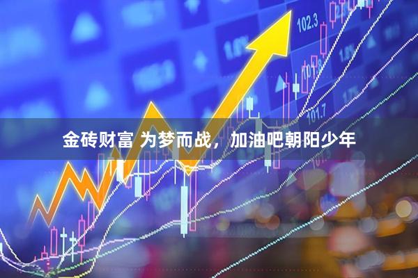 金砖财富 为梦而战，加油吧朝阳少年