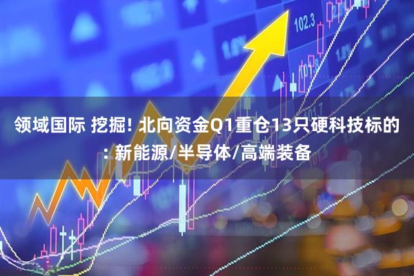 领域国际 挖掘! 北向资金Q1重仓13只硬科技标的: 新能源/半导体/高端装备