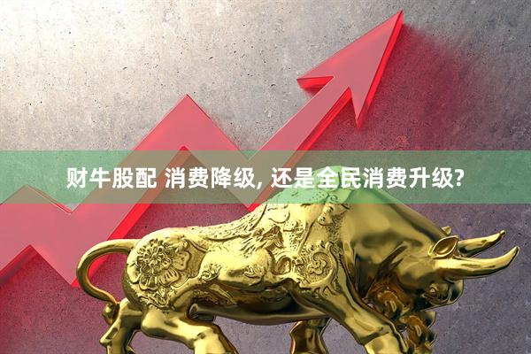 财牛股配 消费降级, 还是全民消费升级?