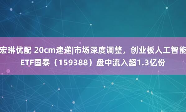 宏琳优配 20cm速递|市场深度调整，创业板人工智能ETF国泰（159388）盘中流入超1.3亿份