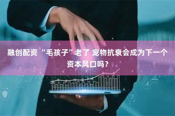 融创配资 “毛孩子”老了 宠物抗衰会成为下一个资本风口吗？